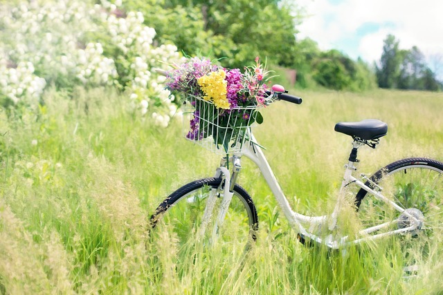 fietsverzekering